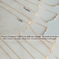 Inner Glow Necklace - 14k Gold Fill/ Sterling Silver - Opalite Collection