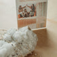 READY TO SHIP Pearl Satellite Permanent Jewelry Chain (1 yard)